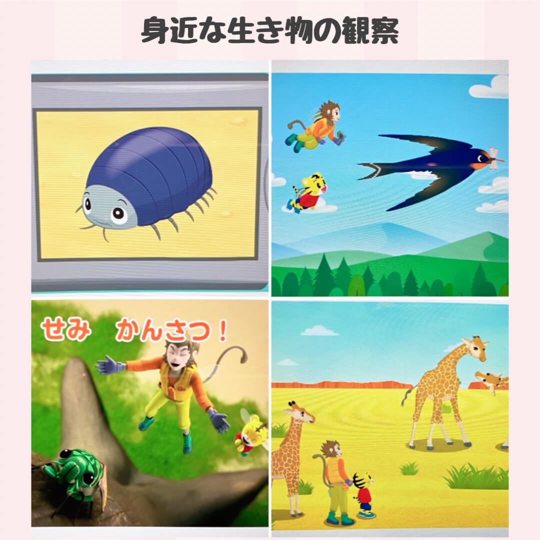 身近な生き物の観察で興味関心が増えた