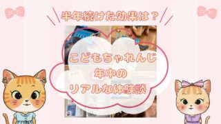 半年続けた学習効果は？こどもちゃれんじ年中のリアルな体験談