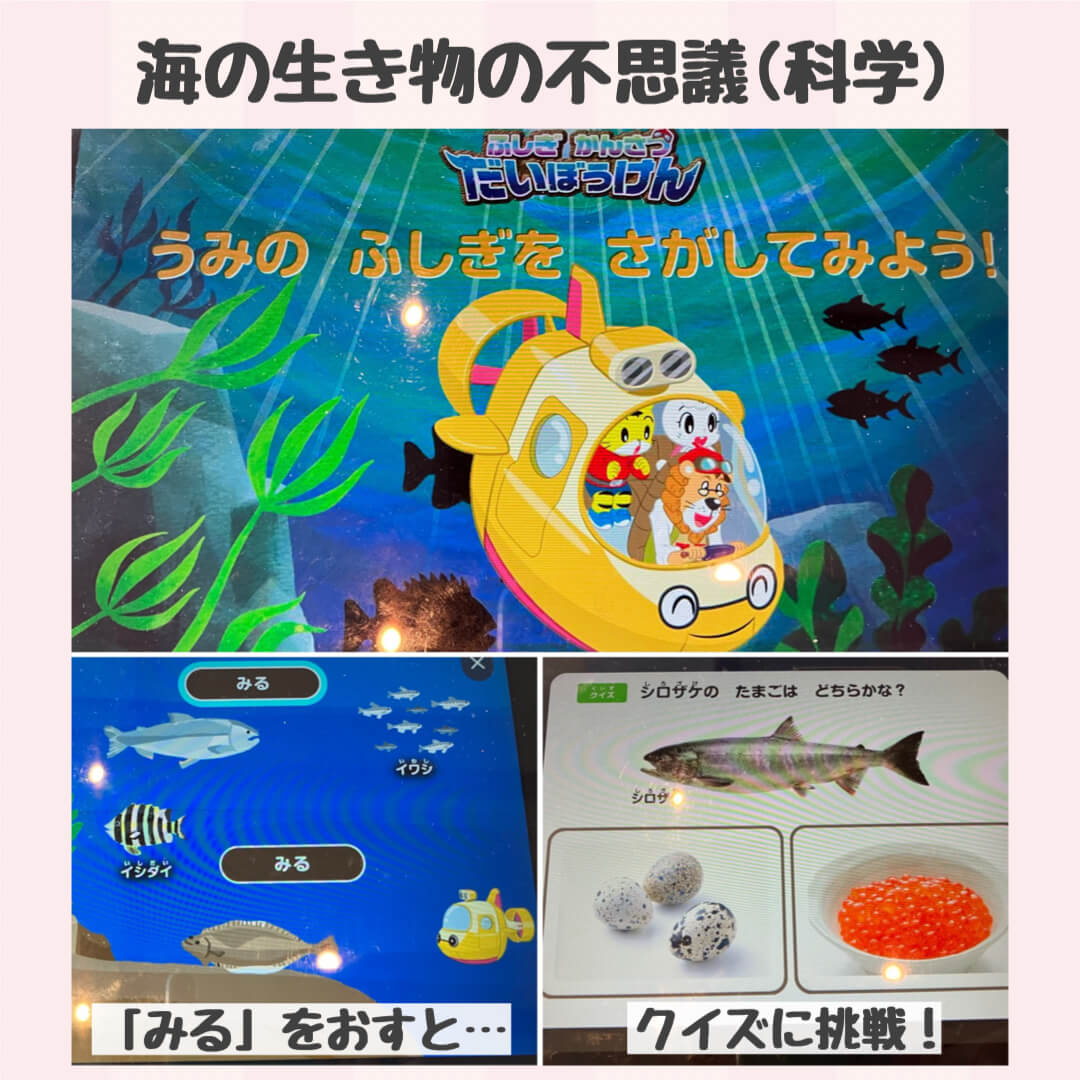 海の生き物の不思議(科学)